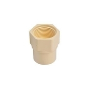 Finolex Pipes 20 mm dia Female thread adapter(plastic)