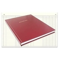 NIRAJ STOCK REGISTER Diaries-printed-plain- register- 400 Pages