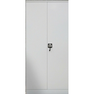 Lifecare Almirah Steel wardrobe(having cloth hanging provision)