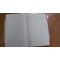 DOLLY PLAIN REGISTER Diaries-printed-plain- register- 400 Pages