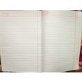 Unbranded PLAIN REGISTER Diaries-printed-plain- register- 400 Pages