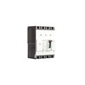 INDO ASAIN 200A 4 Pole 35 KA Molded Case Circuit Breakers (Mccb)