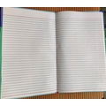 PAPER PLAZA S PLAIN REGISTER Diaries-printed-plain- register- 144 Pages