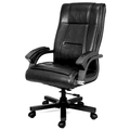 EXECUTIVE CHAIR Revolving Chair with Tilt working with torsion bar mechanism