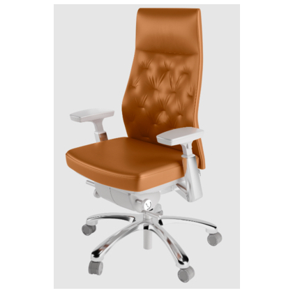 Stellar Revolving Chair with Front pivot synchro tilt mechanism