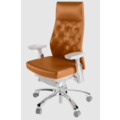 Stellar Revolving Chair with Front pivot synchro tilt mechanism