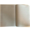 Unbranded PLAIN REGISTER Diaries-printed-plain- register- 160 Pages