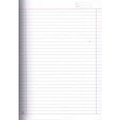 Unbranded PLAIN REGISTER Diaries-printed-plain- register- 72 Pages