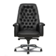 XPONSE ENTERPRISES Revolving Chair with Knee tilt mechanism