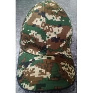 CAP FS