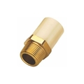 Prince 20 mm dia Male adapter brass threaded