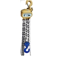 FERRETERRO Hand Operated Chain Pulley Block, Warranty 1 year