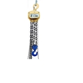 FERRETERRO Hand Operated Chain Pulley Block, Warranty 2 year