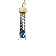 FERRETERRO Hand Operated Chain Pulley Block, Warranty 2 year