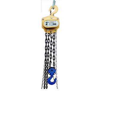 FERRETERRO Hand Operated Chain Pulley Block, Warranty 2 year