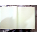 Unbranded FILE REGISTER Diaries-printed-plain- register- 400 Pages