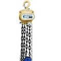 FERRETERRO Hand Operated Chain Pulley Block, Warranty 1 year