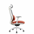 AFFIL Revolving Chair with Knee tilt Synchronic mechanism