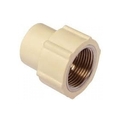 Unbranded 25 mm dia Female adapter brass threaded