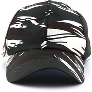 CRPF CAP