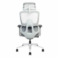 CBL OFFICE FURNITURES Revolving Chair with Center tilt mechanism