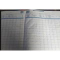 ABD PAY BILL REGISTER Diaries-printed-plain- register- 400 Pages