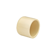 Prince 20 mm dia End cap