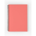 Unbranded PLAIN REGISTER Diaries-printed-plain- register- 160 Pages